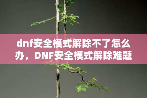 dnf安全模式解除不了怎么办,DNF安全模式解除难题,如何有效应对游戏保护机制 dnf安全模式解除不了怎么办,DNF安全模式解除难题,如何有效应对游戏保护机制