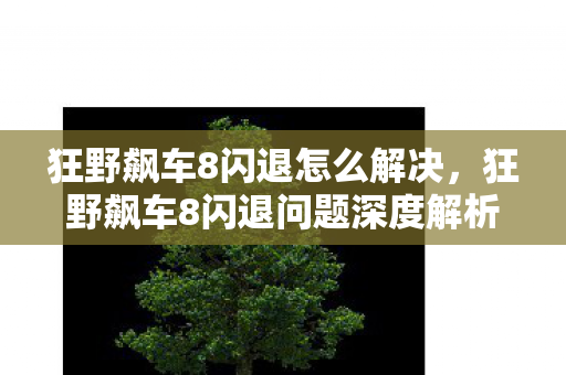狂野飙车8闪退怎么解决,狂野飙车8闪退问题深度解析 狂野飙车8闪退怎么解决,狂野飙车8闪退问题深度解析