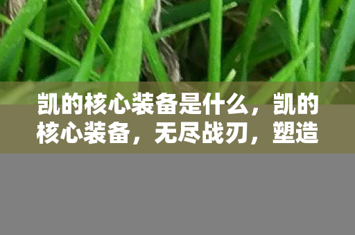 凯的核心装备是什么,凯的核心装备,无尽战刃,塑造王者之路 凯的核心装备是什么,凯的核心装备,无尽战刃,塑造王者之路