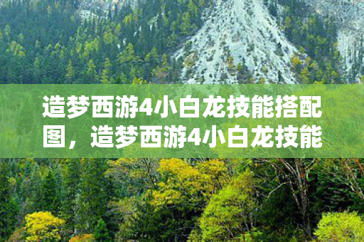 造梦西游4小白龙技能搭配图,造梦西游4小白龙技能搭配 造梦西游4小白龙技能搭配图,造梦西游4小白龙技能搭配