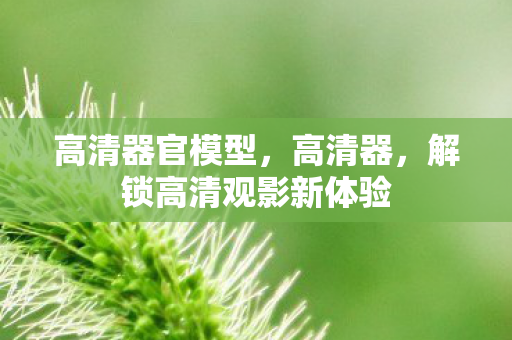 高清器官模型，高清器，解锁高清观影新体验
