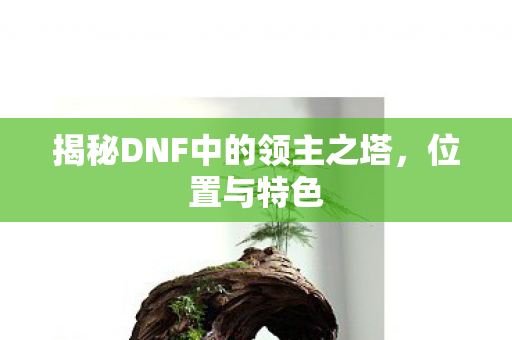 揭秘DNF中的领主之塔，位置与特色