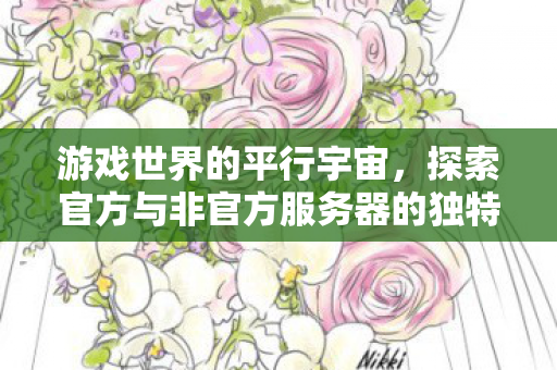 游戏世界的平行宇宙,探索官方与非官方服务器的独特魅力 游戏世界的平行宇宙,探索官方与非官方服务器的独特魅力