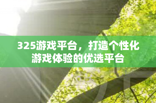 325游戏平台，打造个性化游戏体验的优选平台