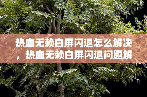 热血无赖白屏闪退怎么解决，热血无赖白屏闪退问题解析与解决策略