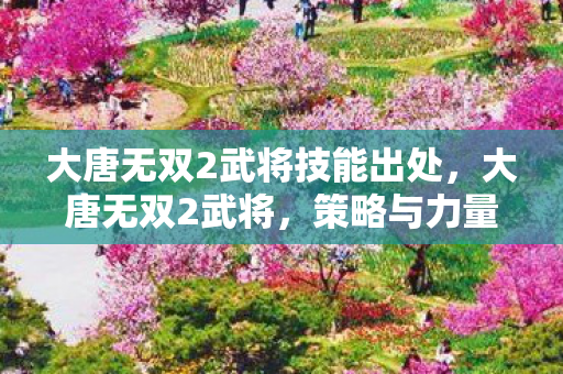 大唐无双2武将技能出处,大唐无双2武将,策略与力量的完美结合 大唐无双2武将技能出处,大唐无双2武将,策略与力量的完美结合