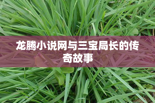 龙腾小说网与三宝局长的传奇故事