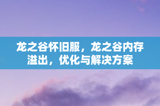 龙之谷怀旧服,龙之谷内存溢出,优化与解决方案 龙之谷怀旧服,龙之谷内存溢出,优化与解决方案