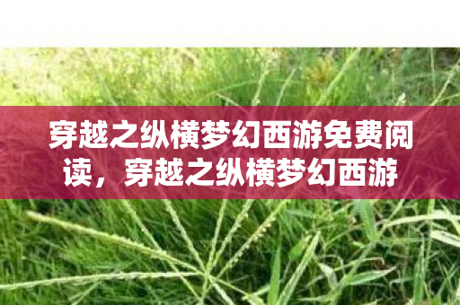 穿越之纵横梦幻西游免费阅读,穿越之纵横梦幻西游 穿越之纵横梦幻西游免费阅读,穿越之纵横梦幻西游