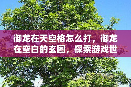 御龙在天空格怎么打,御龙在空白的玄图,探索游戏世界的无限可能 御龙在天空格怎么打,御龙在空白的玄图,探索游戏世界的无限可能
