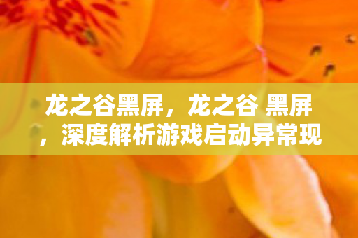龙之谷黑屏,龙之谷 黑屏,深度解析游戏启动异常现象 龙之谷黑屏,龙之谷 黑屏,深度解析游戏启动异常现象