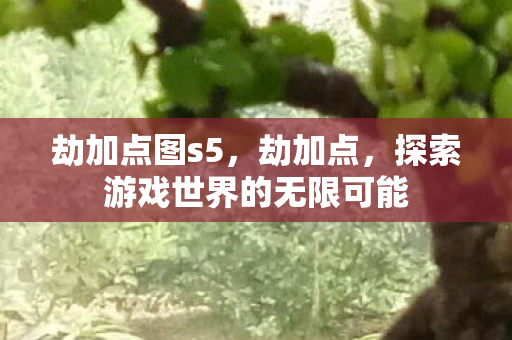 劫加点图s5,劫加点,探索游戏世界的无限可能 劫加点图s5,劫加点,探索游戏世界的无限可能