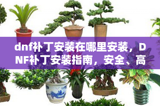 dnf补丁安装在哪里安装,DNF补丁安装指南,安全、高效、官方认证 dnf补丁安装在哪里安装,DNF补丁安装指南,安全、高效、官方认证