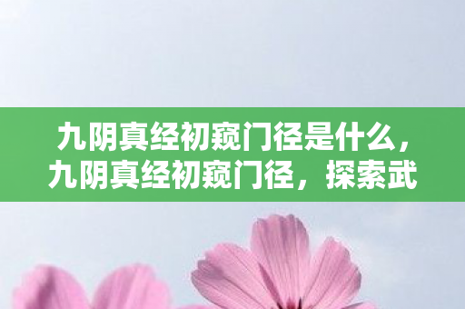 九阴真经初窥门径是什么,九阴真经初窥门径,探索武侠世界的奥秘 九阴真经初窥门径是什么,九阴真经初窥门径,探索武侠世界的奥秘