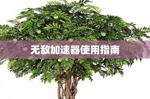 无敌加速器使用指南 无敌加速器使用指南