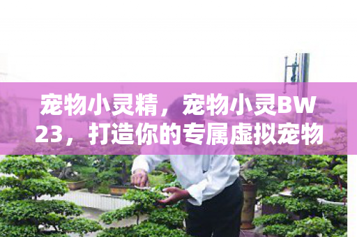 宠物小灵精,宠物小灵BW23,打造你的专属虚拟宠物世界 宠物小灵精,宠物小灵BW23,打造你的专属虚拟宠物世界