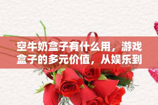空牛奶盒子有什么用，游戏盒子的多元价值，从娱乐到社交的桥梁