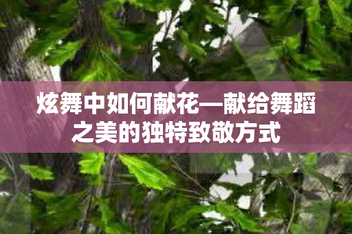 炫舞中如何献花—献给舞蹈之美的独特致敬方式 炫舞中如何献花—献给舞蹈之美的独特致敬方式
