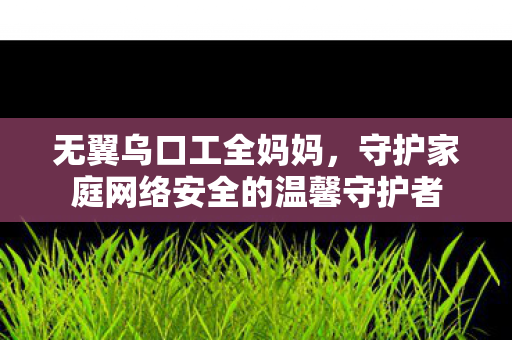 无翼乌口工全妈妈,守护家庭网络安全的温馨守护者 无翼乌口工全妈妈,守护家庭网络安全的温馨守护者