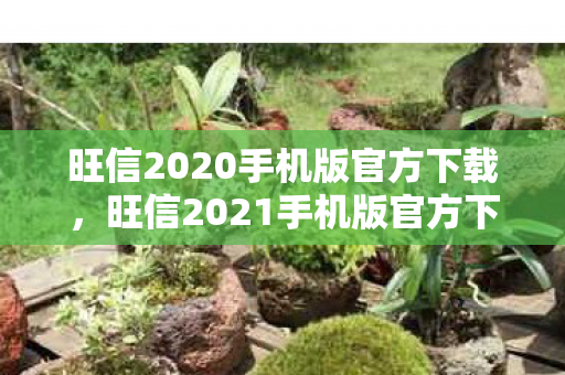 旺信2020手机版官方下载,旺信2021手机版官方下载,高效沟通,从指尖开始 旺信2020手机版官方下载,旺信2021手机版官方下载,高效沟通,从指尖开始