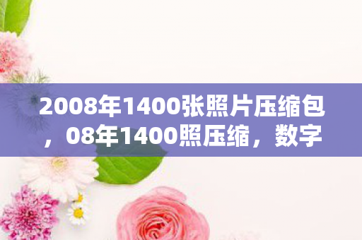 2008年1400张照片压缩包,08年1400照压缩,数字时代的照片管理革命 2008年1400张照片压缩包,08年1400照压缩,数字时代的照片管理革命