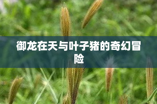 御龙在天与叶子猪的奇幻冒险 御龙在天与叶子猪的奇幻冒险