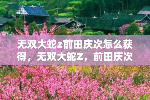 无双大蛇z前田庆次怎么获得,无双大蛇Z,前田庆次的荣耀与传奇 无双大蛇z前田庆次怎么获得,无双大蛇Z,前田庆次的荣耀与传奇