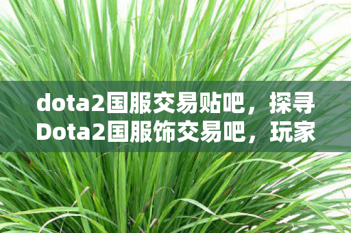 dota2国服交易贴吧,探寻Dota2国服饰交易吧,玩家社区的宝藏与规范 dota2国服交易贴吧,探寻Dota2国服饰交易吧,玩家社区的宝藏与规范