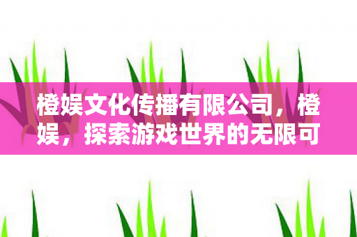 橙娱文化传播有限公司,橙娱,探索游戏世界的无限可能 橙娱文化传播有限公司,橙娱,探索游戏世界的无限可能