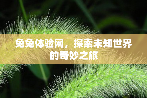 兔兔体验网，探索未知世界的奇妙之旅