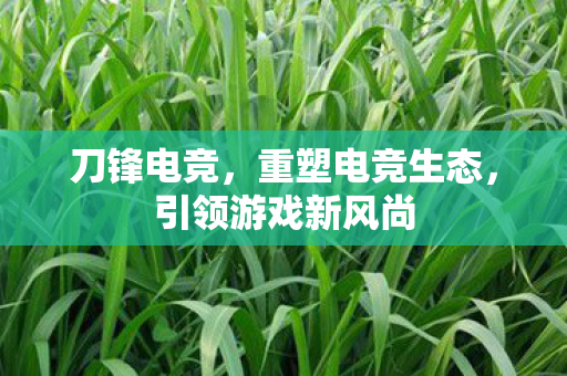 刀锋电竞,重塑电竞生态,引领游戏新风尚 刀锋电竞,重塑电竞生态,引领游戏新风尚