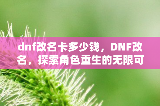 dnf改名卡多少钱,DNF改名,探索角色重生的无限可能 dnf改名卡多少钱,DNF改名,探索角色重生的无限可能