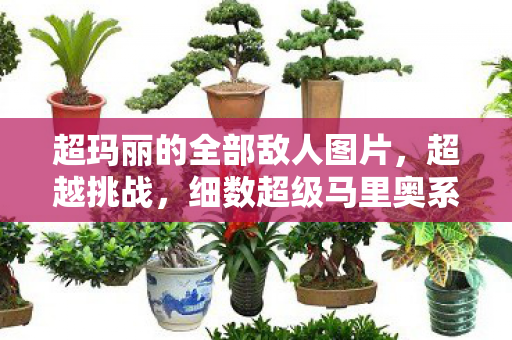 超玛丽的全部敌人图片,超越挑战,细数超级马里奥系列中的经典敌人 超玛丽的全部敌人图片,超越挑战,细数超级马里奥系列中的经典敌人