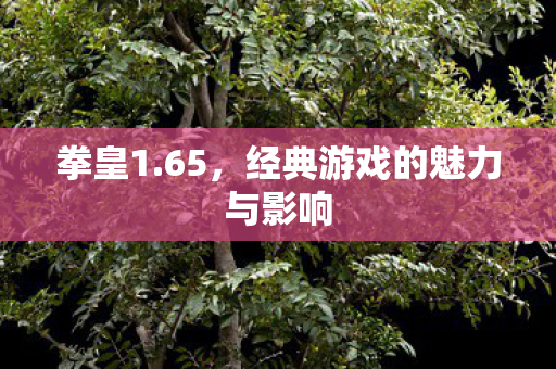 拳皇1.65,经典游戏的魅力与影响 拳皇1.65,经典游戏的魅力与影响