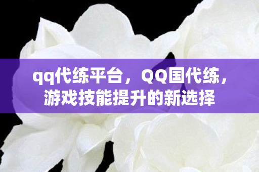 qq代练平台，QQ国代练，游戏技能提升的新选择