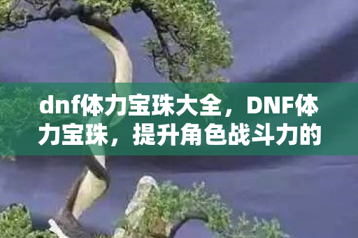 dnf体力宝珠大全,DNF体力宝珠,提升角色战斗力的关键 dnf体力宝珠大全,DNF体力宝珠,提升角色战斗力的关键