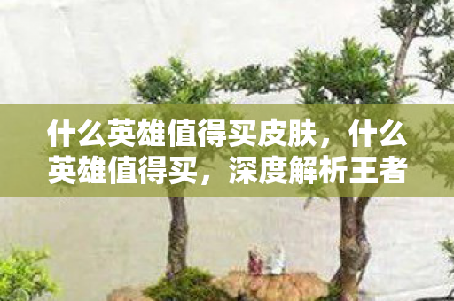 什么英雄值得买皮肤,什么英雄值得买,深度解析王者荣耀中的购买建议 什么英雄值得买皮肤,什么英雄值得买,深度解析王者荣耀中的购买建议