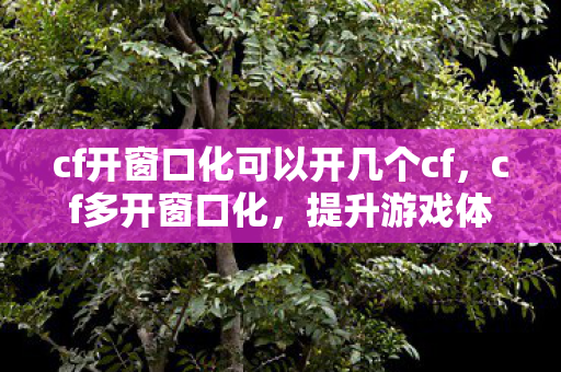 cf开窗口化可以开几个cf，cf多开窗口化，提升游戏体验的实用技巧