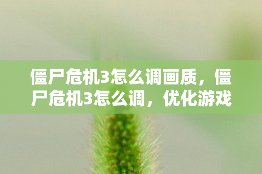僵尸危机3怎么调画质，僵尸危机3怎么调，优化游戏设置的详细指南