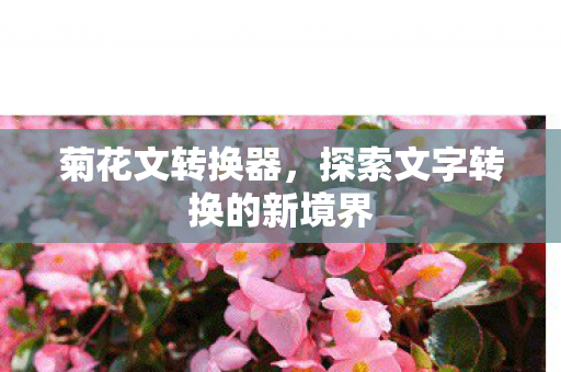 菊花文转换器,探索文字转换的新境界 菊花文转换器,探索文字转换的新境界