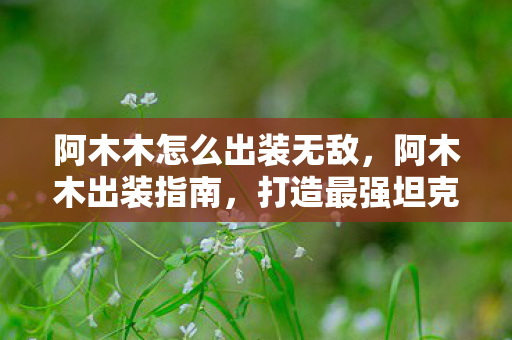 阿木木怎么出装无敌,阿木木出装指南,打造最强坦克 阿木木怎么出装无敌,阿木木出装指南,打造最强坦克
