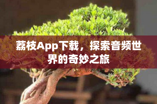 荔枝App下载，探索音频世界的奇妙之旅