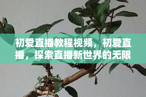 初爱直播教程视频，初爱直播，探索直播新世界的无限可能