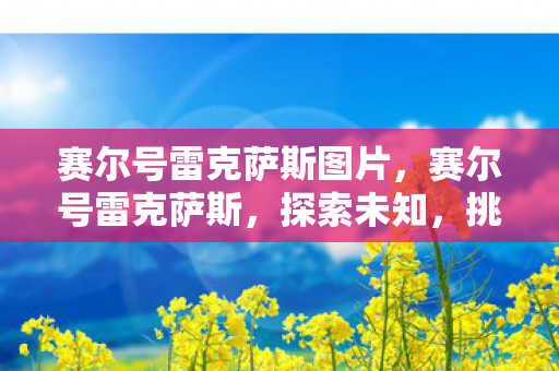 赛尔号雷克萨斯图片,赛尔号雷克萨斯,探索未知,挑战极限 赛尔号雷克萨斯图片,赛尔号雷克萨斯,探索未知,挑战极限
