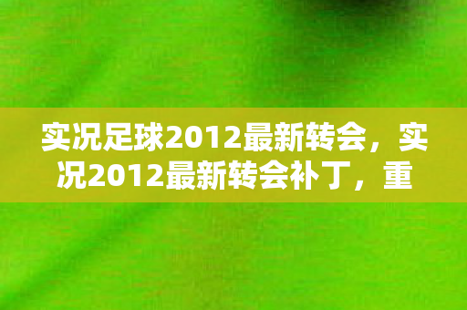 实况足球2012最新转会,实况2012最新转会补丁,重塑绿茵传奇 实况足球2012最新转会,实况2012最新转会补丁,重塑绿茵传奇