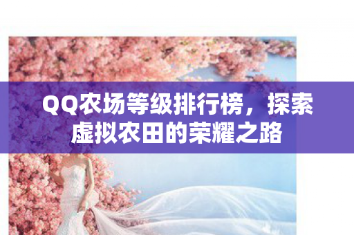 QQ农场等级排行榜,探索虚拟农田的荣耀之路 QQ农场等级排行榜,探索虚拟农田的荣耀之路