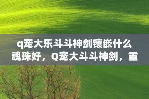 q宠大乐斗斗神剑镶嵌什么魂珠好,Q宠大斗斗神剑,重温经典,探索无限可能 q宠大乐斗斗神剑镶嵌什么魂珠好,Q宠大斗斗神剑,重温经典,探索无限可能