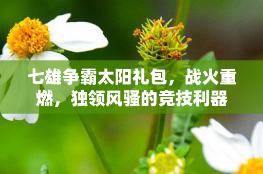 七雄争霸太阳礼包,战火重燃,独领风骚的竞技利器 七雄争霸太阳礼包,战火重燃,独领风骚的竞技利器