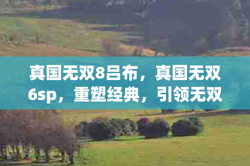 真国无双8吕布，真国无双6sp，重塑经典，引领无双新纪元
