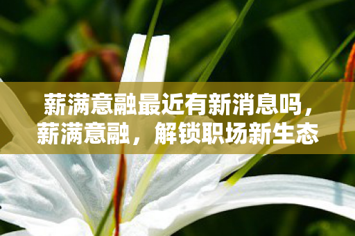 薪满意融最近有新消息吗,薪满意融,解锁职场新生态,重塑薪酬与满意度的双赢局面 薪满意融最近有新消息吗,薪满意融,解锁职场新生态,重塑薪酬与满意度的双赢局面